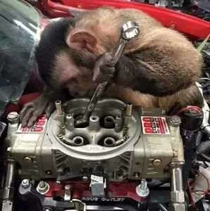 Meet your Posher, Jerry